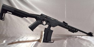 Citadel Trakr .22b semi auto rifle